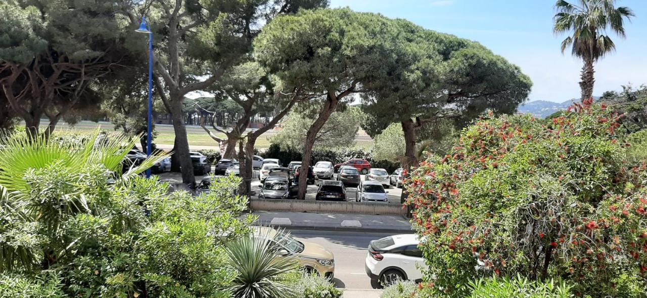 Les Iles D'Or Au Port De Hyeres Grand Studio Climatise Exterior foto